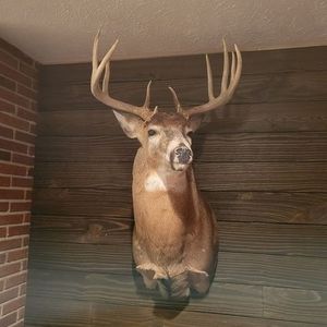 Meet your Posher, Todd